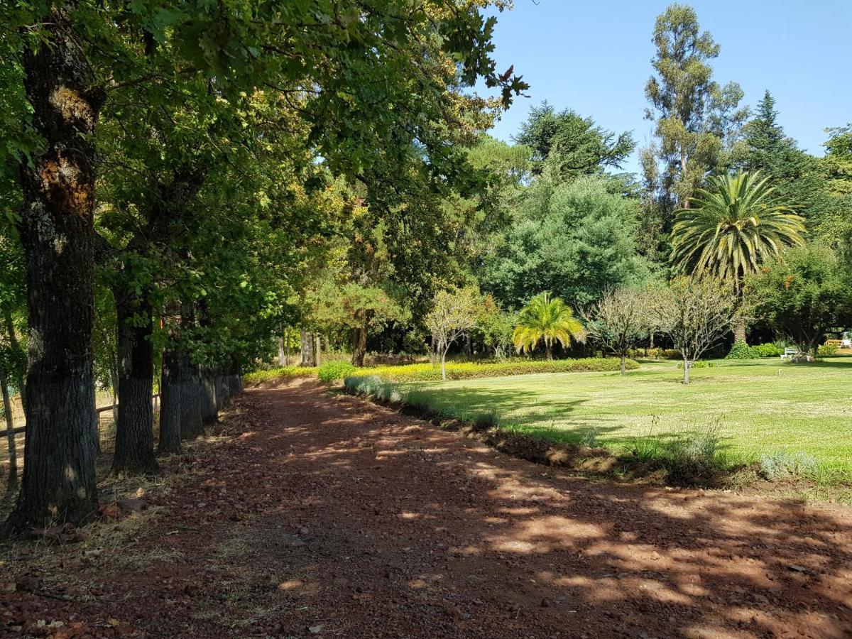 Cabañas Turismo Rural El Mirador Chillán Exterior foto