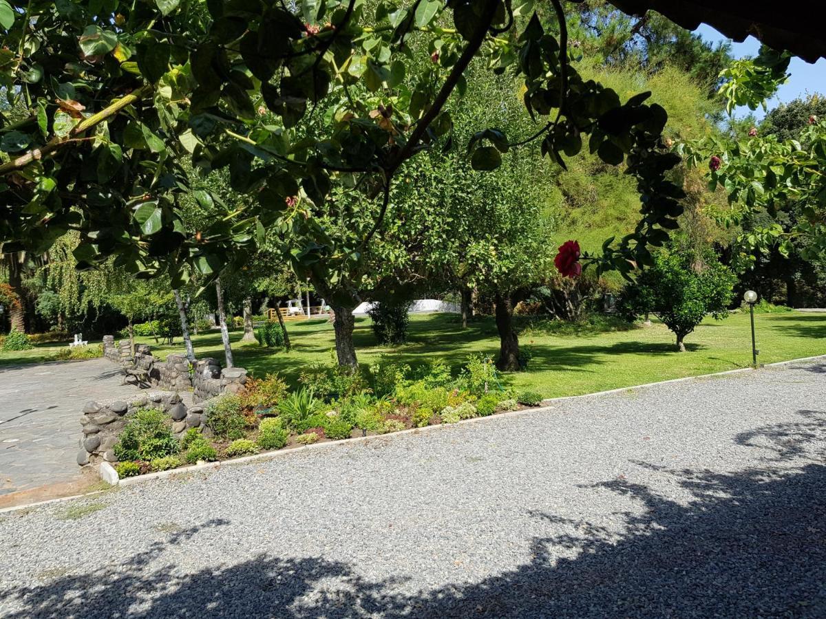 Cabañas Turismo Rural El Mirador Chillán Exterior foto