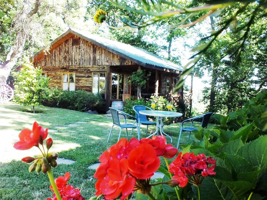 Cabañas Turismo Rural El Mirador Chillán Exterior foto